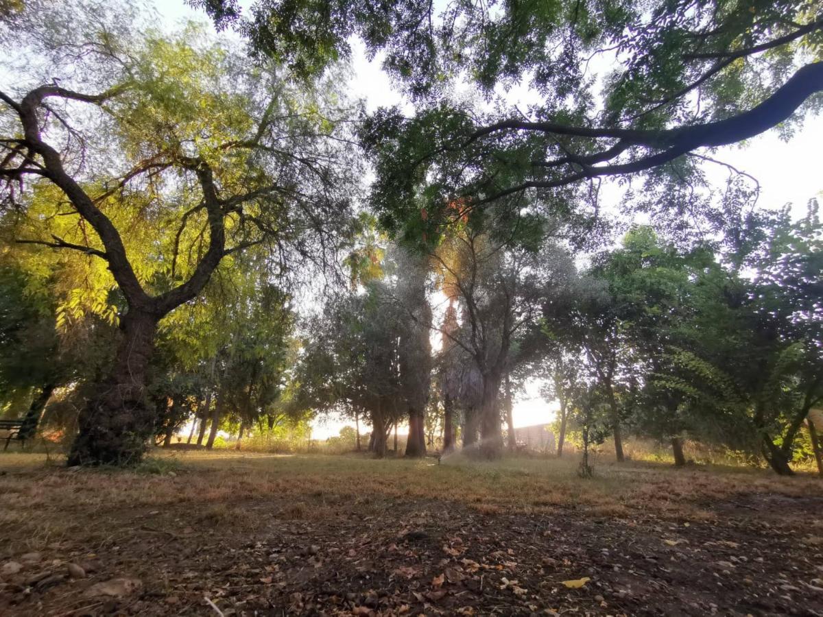 Вилла Finca El Naranjo Севилья Экстерьер фото